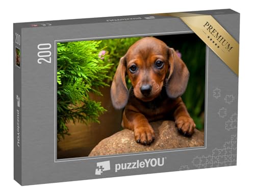 puzzleYOU: Puzzle 200 Teile „Sommergarten mit Dackel“ – aus der Puzzle-Kollektion Dackel puzzleYOU: Puzzle 200 Teile „Sommergarten mit Dackel“ – aus der Puzzle-Kollektion Dackel von puzzleYOU