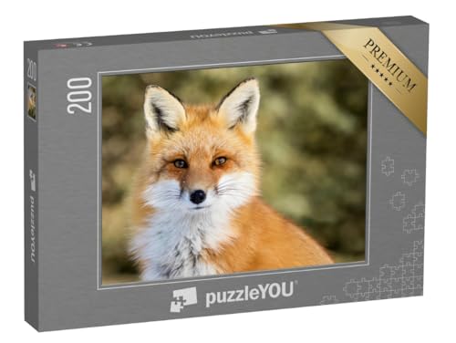 puzzleYOU: Puzzle 200 Teile „Vulpes Vulpes: Rotfuchs bei Schnee, Bokeh“ – aus der Puzzle-Kollektion Füchse, Tiere in Wald & Gebirge puzzleYOU: Puzzle 200 Teile „Vulpes Vulpes: Rotfuchs bei Schnee, Bokeh“ – aus der Puzzle-Kollektion Füchse, Tiere in Wald & Gebirge von puzzleYOU