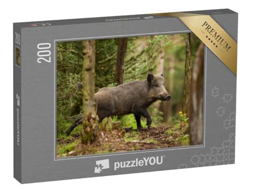 puzzleYOU: Puzzle 200 Teile „Wildschwein, sus scrofa, in den Wäldern der Tschechischen Republik“ – aus der Puzzle-Kollektion Wildschweine, Tiere in Wald & Gebirge von puzzleYOU