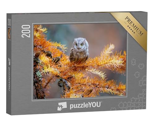 puzzleYOU: Puzzle 200 Teile „Zwergohreule, Otus scops, eine typische Eule“ – aus der Puzzle-Kollektion Vögel, Eulen, Exotische Tiere & Trend-Tiere von puzzleYOU