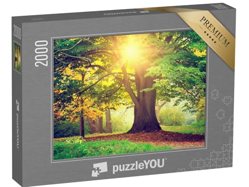 puzzleYOU: Puzzle 2000 Teile „Abend im Park“ – aus der Puzzle-Kollektion Flora, Bäume, Pflanzen, Wald & Bäume, Blumen & Pflanzen von puzzleYOU