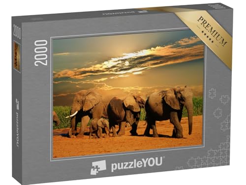 puzzleYOU: Puzzle 2000 Teile „Afrikanische Elefantenherde, Addo Elephant National Park, Südafrika“ – aus der Puzzle-Kollektion Safari, Elefanten, Tiere in Savanne & Wüste von puzzleYOU