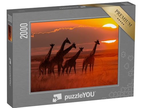puzzleYOU: Puzzle 2000 Teile „Giraffenherde im Sonnenuntergang, Savanne in Afrika“ – aus der Puzzle-Kollektion Safari, Savanne puzzleYOU: Puzzle 2000 Teile „Giraffenherde im Sonnenuntergang, Savanne in Afrika“ – aus der Puzzle-Kollektion Safari, Savanne von puzzleYOU