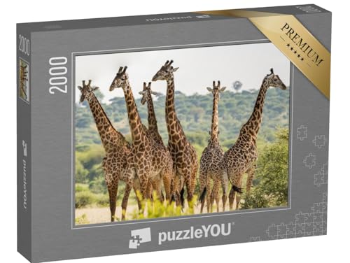 puzzleYOU: Puzzle 2000 Teile „Giraffenherde im Tarangire-Nationalpark, Tansania“ – aus der Puzzle-Kollektion Safari, Giraffen, Tiere in Savanne & Wüste puzzleYOU: Puzzle 2000 Teile „Giraffenherde im Tarangire-Nationalpark, Tansania“ – aus der Puzzle-Kollektion Safari, Giraffen, Tiere in Savanne & Wüste von puzzleYOU