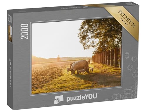 puzzleYOU: Puzzle 2000 Teile „Hausschwein mit kleinen Ferkelchen auf Einer Wiese im Sonnenuntergang“ – aus der Puzzle-Kollektion Schweine & Ferkel von puzzleYOU