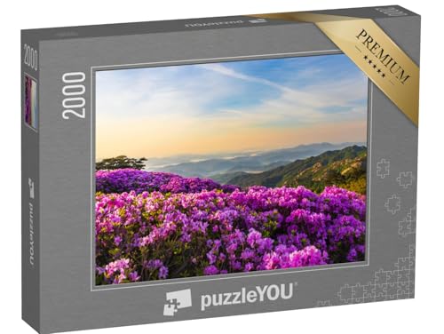 puzzleYOU: Puzzle 2000 Teile „Rosa Azaleenblüten auf dem Berg Hwangmaesan, Korea“ – aus der Puzzle-Kollektion Blumenwiesen, Blumen & Pflanzen von puzzleYOU