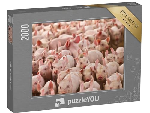 puzzleYOU: Puzzle 2000 Teile „Viele kleine Ferkelchen“ – aus der Puzzle-Kollektion Schweine & Ferkel von puzzleYOU