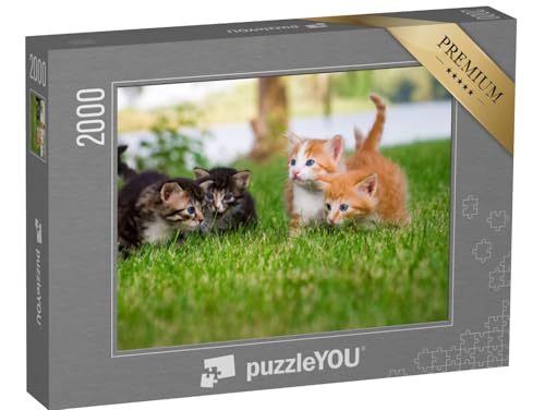 puzzleYOU: Puzzle 2000 Teile „Vier kleine Kätzchen im Garten“ – aus der Puzzle-Kollektion Katzen-Puzzles von puzzleYOU