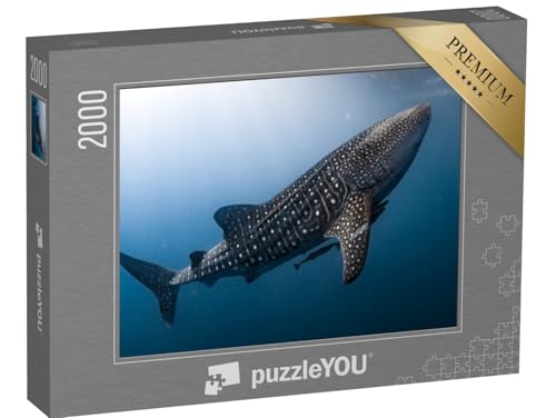 puzzleYOU: Puzzle 2000 Teile „Walhai in Papua“ – aus der Puzzle-Kollektion Haie, Raubtiere, Fische & Wassertiere puzzleYOU: Puzzle 2000 Teile „Walhai in Papua“ – aus der Puzzle-Kollektion Haie, Raubtiere, Fische & Wassertiere von puzzleYOU