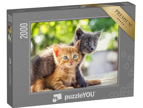 puzzleYOU: Puzzle 2000 Teile „Zwei Bezaubernde Kätzchen Spielen“ – aus der Puzzle-Kollektion Katzen-Puzzles von puzzleYOU