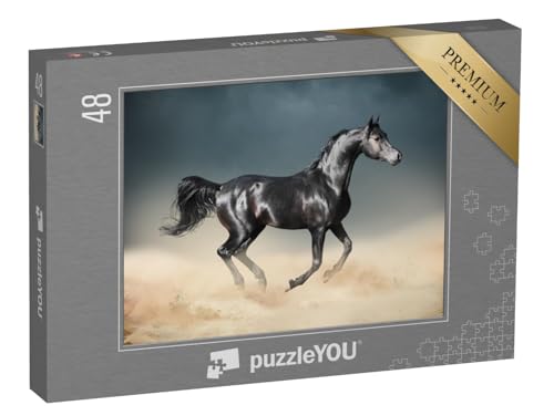 puzzleYOU: Puzzle 48 Teile „Araber: Pferd durchquert die Wüste“ – aus der Puzzle-Kollektion Pferde, Araber Pferde puzzleYOU: Puzzle 48 Teile „Araber: Pferd durchquert die Wüste“ – aus der Puzzle-Kollektion Pferde, Araber Pferde von puzzleYOU