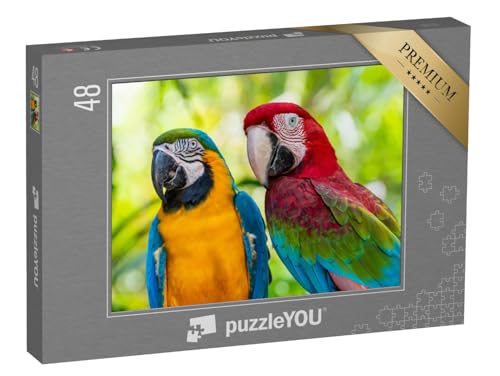puzzleYOU: Puzzle 48 Teile „Bunte Vögel: Papagei, Aras, Nahaufnahme“ – aus der Puzzle-Kollektion Vögel, Papagei, Tiere in Dschungel & Regenwald von puzzleYOU