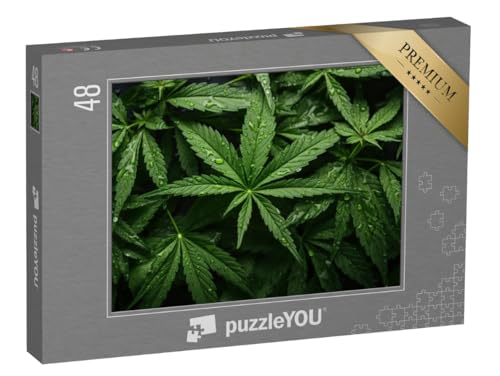 puzzleYOU: Puzzle 48 Teile „Grünes frisches Cannabis, Nahaufnahme mit Wassertropfen“ puzzleYOU: Puzzle 48 Teile „Grünes frisches Cannabis, Nahaufnahme mit Wassertropfen“ von puzzleYOU