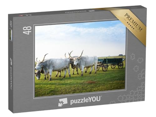 puzzleYOU: Puzzle 48 Teile „Hortobagy National Park, Ungarn“ – aus der Puzzle-Kollektion Ungarn puzzleYOU: Puzzle 48 Teile „Hortobagy National Park, Ungarn“ – aus der Puzzle-Kollektion Ungarn von puzzleYOU