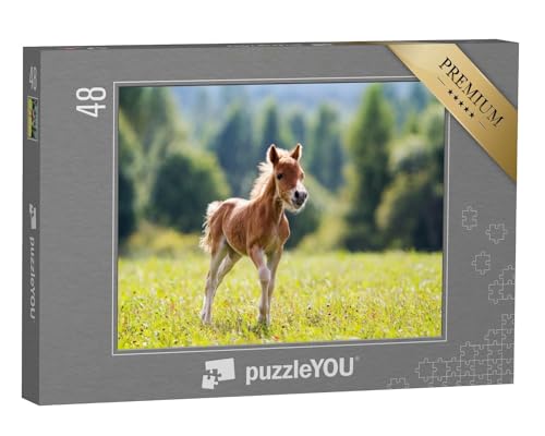puzzleYOU: Puzzle 48 Teile „Minipony Falabella: Spielendes Fohlen“ – aus der Puzzle-Kollektion Pferde, Fohlen von puzzleYOU