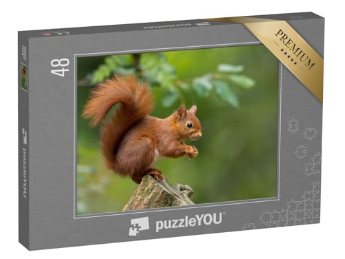 puzzleYOU: Puzzle 48 Teile „Rotes Eichhörnchen“ – aus der Puzzle-Kollektion Eichhörnchen, Tiere in Wald & Gebirge puzzleYOU: Puzzle 48 Teile „Rotes Eichhörnchen“ – aus der Puzzle-Kollektion Eichhörnchen, Tiere in Wald & Gebirge von puzzleYOU