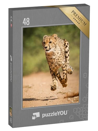puzzleYOU: Puzzle 48 Teile „Schneller Gepard, Kruger Park, Südfrika“ – aus der Puzzle-Kollektion Geparden, Raubtiere, Tiere in Savanne & Wüste von puzzleYOU