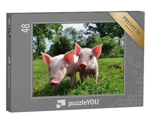 puzzleYOU: Puzzle 48 Teile „Zwei winzige Ferkel auf Einer grünen Wiese“ – aus der Puzzle-Kollektion Bauernhof-Tiere, Schweine & Ferkel von puzzleYOU