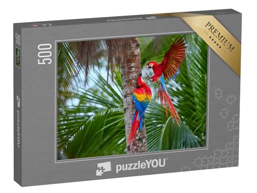puzzleYOU: Puzzle 500 Teile „Amazonas-Papageien an Einer Palme“ – aus der Puzzle-Kollektion Vögel, Papagei, Tiere in Dschungel & Regenwald von puzzleYOU