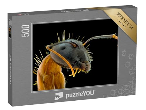 puzzleYOU: Puzzle 500 Teile „Ameisengesicht: Foto mit extremer Makrotechnik, Nahaufnahme“ – aus der Puzzle-Kollektion Ameisen, Insekten & Kleintiere puzzleYOU: Puzzle 500 Teile „Ameisengesicht: Foto mit extremer Makrotechnik, Nahaufnahme“ – aus der Puzzle-Kollektion Ameisen, Insekten & Kleintiere von puzzleYOU