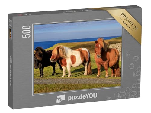 puzzleYOU: Puzzle 500 Teile „DREI Shetlandponys an der Küste Schottlands“ – aus der Puzzle-Kollektion Pferde, Shetlandpony puzzleYOU: Puzzle 500 Teile „DREI Shetlandponys an der Küste Schottlands“ – aus der Puzzle-Kollektion Pferde, Shetlandpony von puzzleYOU