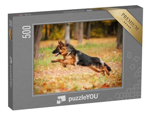 puzzleYOU: Puzzle 500 Teile „Deutscher Schäferhund beim Spielen im Herbst, im Sprung, Blick nach Links“ – aus der Puzzle-Kollektion Schäferhunde von puzzleYOU