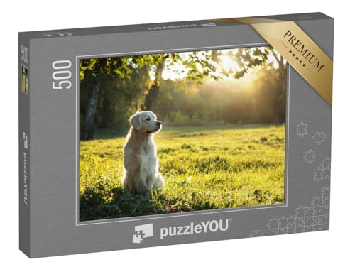 puzzleYOU: Puzzle 500 Teile „Golden Retriever im sommerlichen Abendlicht“ – aus der Puzzle-Kollektion Hunde, Golden Retriever puzzleYOU: Puzzle 500 Teile „Golden Retriever im sommerlichen Abendlicht“ – aus der Puzzle-Kollektion Hunde, Golden Retriever von puzzleYOU