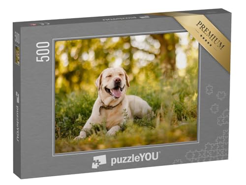 puzzleYOU: Puzzle 500 Teile „Goldener Labrador Retriever bei Einer Pause im Park“ – aus der Puzzle-Kollektion Hunde, Labrador von puzzleYOU