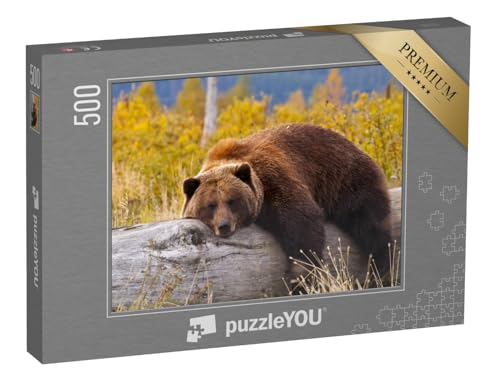 puzzleYOU: Puzzle 500 Teile „Grizzlybär, Alaska“ – aus der Puzzle-Kollektion Bären, Grizzlys, Raubtiere, Braunbären, Tiere des Nordens, Tiere in Wald & Gebirge puzzleYOU: Puzzle 500 Teile „Grizzlybär, Alaska“ – aus der Puzzle-Kollektion Bären, Grizzlys, Raubtiere, Braunbären, Tiere des Nordens, Tiere in Wald & Gebirge von puzzleYOU