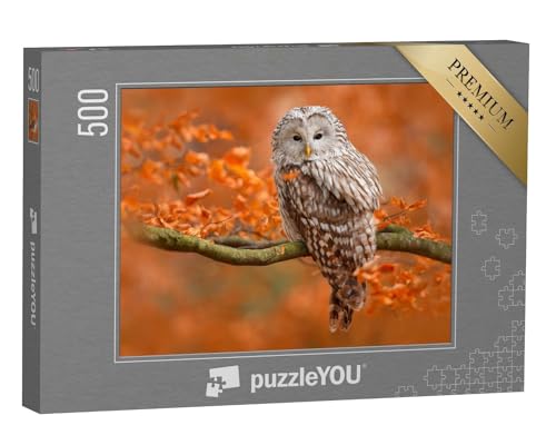 puzzleYOU: Puzzle 500 Teile „Herbstaufnahme mit Eule, Uralkauz, sitzt auf AST im Eichenwald, Norwegen“ – aus der Puzzle-Kollektion Vögel, Tiere, Eulen, Exotische Tiere & Trend-Tiere von puzzleYOU