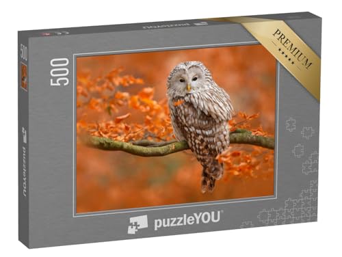 puzzleYOU: Puzzle 500 Teile „Herbstaufnahme mit Eule, Uralkauz, sitzt auf AST im Eichenwald, Norwegen“ – aus der Puzzle-Kollektion Vögel, Tiere, Eulen, Exotische Tiere & Trend-Tiere von puzzleYOU