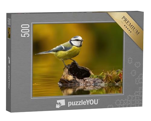 puzzleYOU: Puzzle 500 Teile „Kleine eurasische Blaumeise, cyanistes caeruleus, sitzend auf Holz im Teich“ – aus der Puzzle-Kollektion Vögel von puzzleYOU