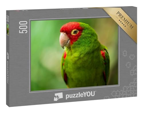 puzzleYOU: Puzzle 500 Teile „Papagei“ von puzzleYOU