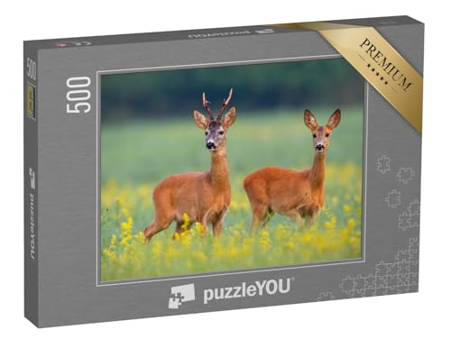 puzzleYOU: Puzzle 500 Teile „Rehwild auf einem Feld voller gelben Wildblumen“ – aus der Puzzle-Kollektion Rehe puzzleYOU: Puzzle 500 Teile „Rehwild auf einem Feld voller gelben Wildblumen“ – aus der Puzzle-Kollektion Rehe von puzzleYOU