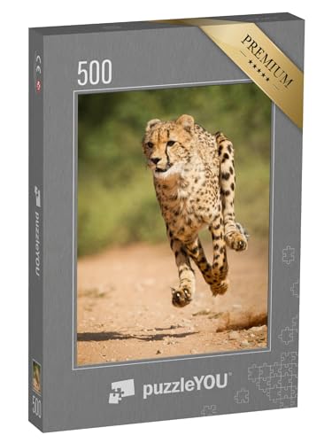 puzzleYOU: Puzzle 500 Teile „Schneller Gepard, Kruger Park, Südfrika“ – aus der Puzzle-Kollektion Geparden, Raubtiere, Tiere in Savanne & Wüste von puzzleYOU