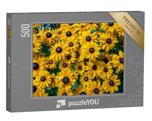 puzzleYOU: Puzzle 500 Teile „Schwarzäugige Susannen wachsen auf einem Feld, Pennsylvania“ – aus der Puzzle-Kollektion Blumen von puzzleYOU