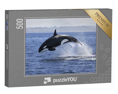 puzzleYOU: Puzzle 500 Teile „Schwertwal, Orcinus Orca, beim Sprung aus dem Wasser“ – aus der Puzzle-Kollektion Wale von puzzleYOU