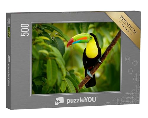 puzzleYOU: Puzzle 500 Teile „Tukan auf Costa Rica“ – aus der Puzzle-Kollektion Costa Rica von puzzleYOU