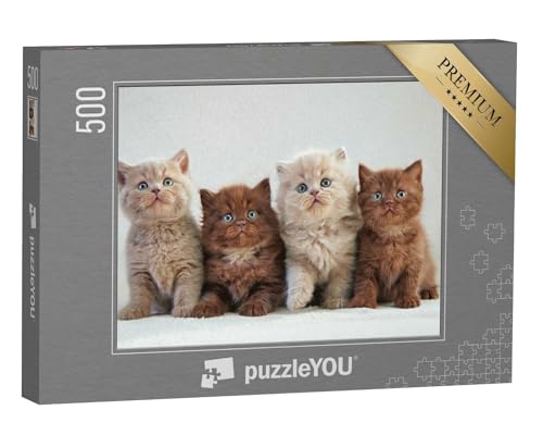 puzzleYOU: Puzzle 500 Teile „Vier britische Kätzchen, Bunte Farben“ – aus der Puzzle-Kollektion Tiere, Katzen-Puzzles von puzzleYOU