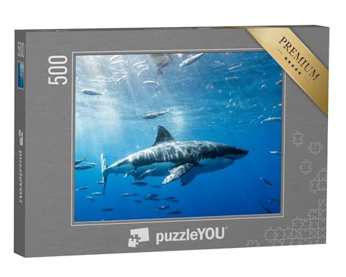 puzzleYOU: Puzzle 500 Teile „Weißer Hai in Mexiko“ – aus der Puzzle-Kollektion Haie, Raubtiere, Fische & Wassertiere von puzzleYOU