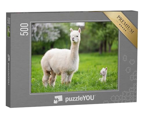 puzzleYOU: Puzzle 500 Teile „Weißes Alpaka mit Nachkommen, südamerikanisches Säugetier“ – aus der Puzzle-Kollektion Alpakas, Exotische Tiere & Trend-Tiere von puzzleYOU