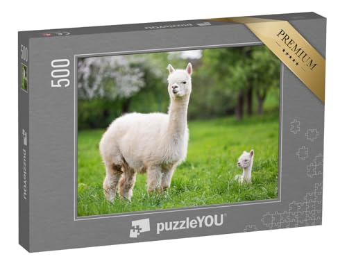 puzzleYOU: Puzzle 500 Teile „Weißes Alpaka mit Nachkommen, südamerikanisches Säugetier“ – aus der Puzzle-Kollektion Alpakas, Exotische Tiere & Trend-Tiere puzzleYOU: Puzzle 500 Teile „Weißes Alpaka mit Nachkommen, südamerikanisches Säugetier“ – aus der Puzzle-Kollektion Alpakas, Exotische Tiere & Trend-Tiere von puzzleYOU