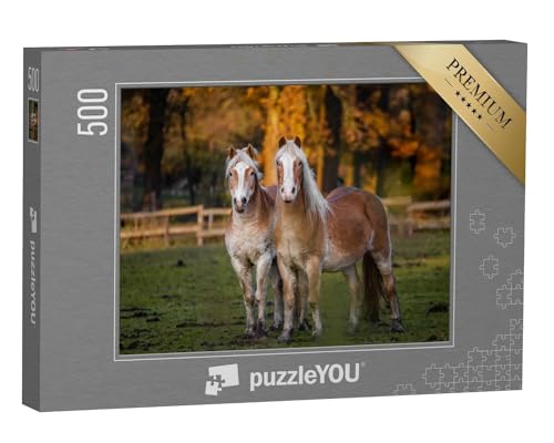 puzzleYOU: Puzzle 500 Teile „Zwei Pferde auf Einer hebstlichen Wiese“ – aus der Puzzle-Kollektion Pferde, Haflinger Pferde von puzzleYOU