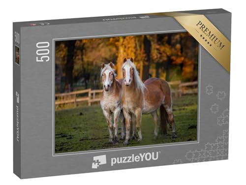 puzzleYOU: Puzzle 500 Teile „Zwei Pferde auf Einer hebstlichen Wiese“ – aus der Puzzle-Kollektion Pferde, Haflinger Pferde puzzleYOU: Puzzle 500 Teile „Zwei Pferde auf Einer hebstlichen Wiese“ – aus der Puzzle-Kollektion Pferde, Haflinger Pferde von puzzleYOU