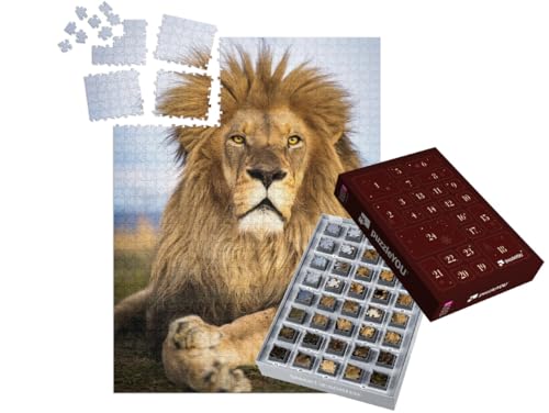 puzzleYOU: Puzzle-Adventskalender | „Wilde Löwen in Südafrika“ – aus der Puzzle-Kollektion Löwen, Raubtiere, Tiere in Savanne & Wüste von puzzleYOU