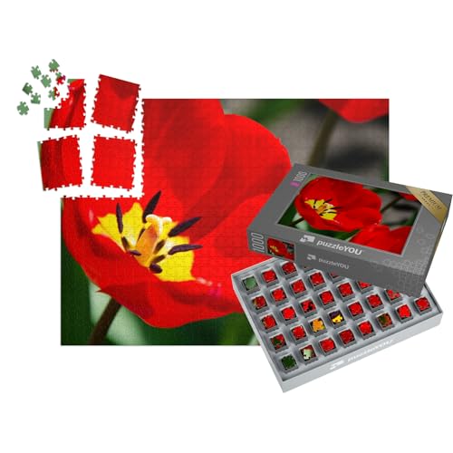 puzzleYOU: SMART Sorted® | Puzzle 1000 Teile leicht gemacht „Details der inneren Tulpenblüte mit Stempel und Staubgefäßen, Tulpe Nahaufnahme“ – aus der Puzzle-Kollektion Blüten, Blumen & Pflanzen von puzzleYOU