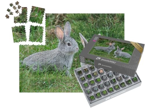 puzzleYOU: SMART Sorted® | Puzzle 1000 Teile leicht gemacht „Flauschige graue Kaninchen auf dem grünen Gras“ – aus der Puzzle-Kollektion Hasen, Tiere in Wald & Gebirge von puzzleYOU