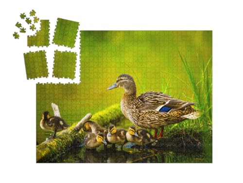 puzzleYOU: SMART Sorted® | Puzzle 1000 Teile leicht gemacht „Mallard Weibchen mit kleinen Enten“ von puzzleYOU