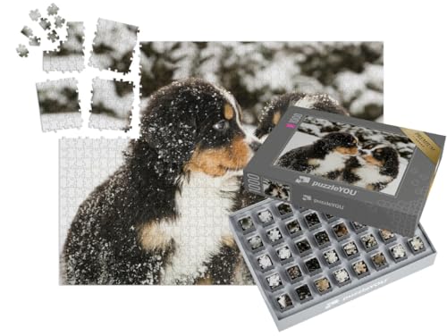 puzzleYOU: SMART Sorted® | Puzzle 1000 Teile leicht gemacht „Mit Schnee bestäubte Berner Sennenhund-Welpen“ – aus der Puzzle-Kollektion Berner Sennenhund von puzzleYOU