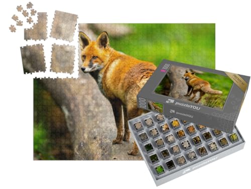 puzzleYOU: SMART Sorted® | Puzzle 1000 Teile leicht gemacht „Rotfuchs im Herbst-Wald“ von puzzleYOU